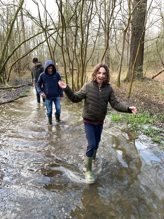 Klik op de foto om originele grootte te bekijken