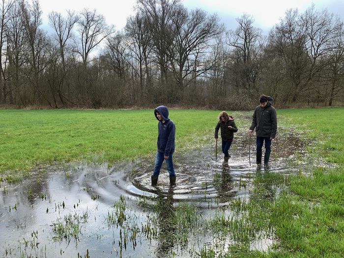 Klik op de foto om originele grootte te bekijken